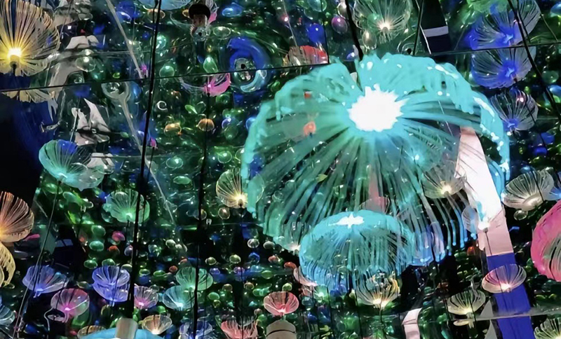 Travel to China Shenzhen The Glass Hanging Gallery.jpg