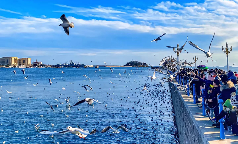 China Qingdao Most Visited Places Trestle Bridge.jpg